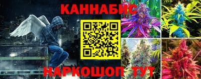 дмт Бийск