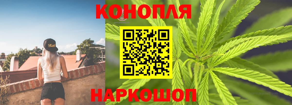 Конопля семена Жуковский